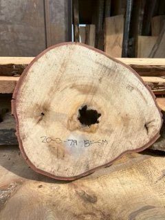 Spalted Maple